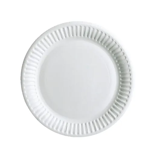 Picture of Disposable Paper Plate 9"  1 x 100