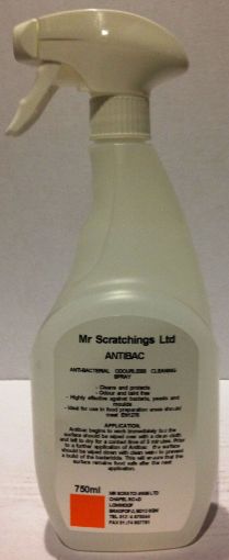 Picture of Mr Scratchings Antibac 30s (1 x 750ml Trigger spray)